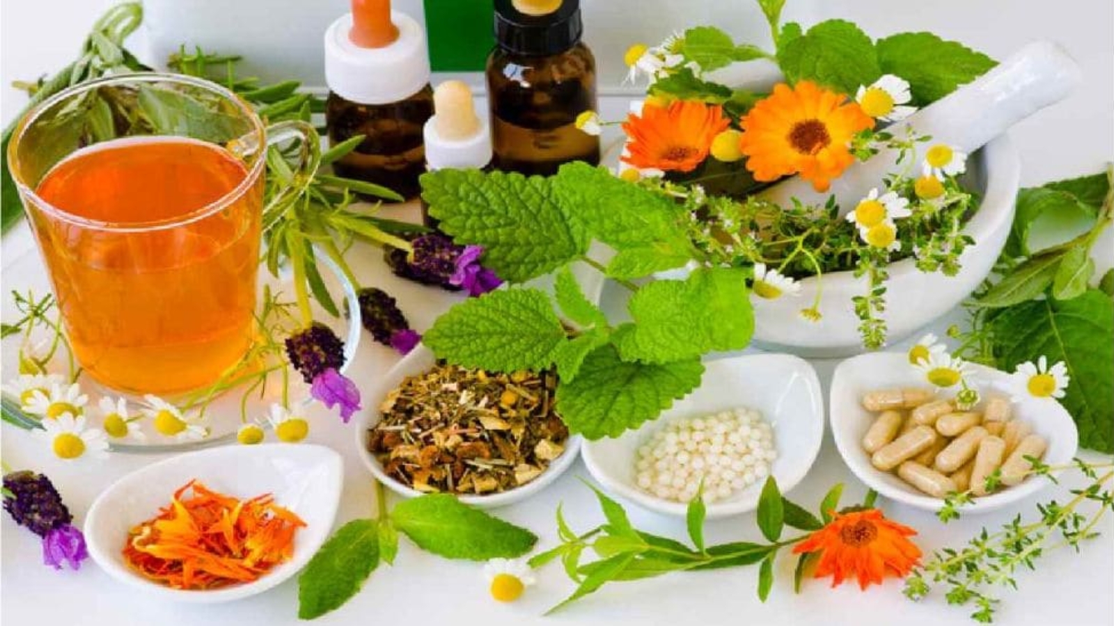 Naturopatia